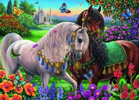 Adorned stallions - adorned stallions, frumusete, colorful, summer, white, butterfly, brown, horse, luminos, animal, cal, flower