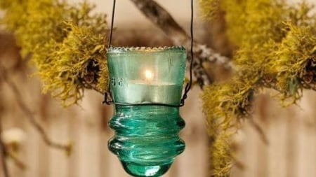 candle light - candle, tree, moss, varse