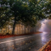 Autumn rain Road