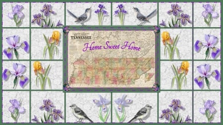 Home Sweet Home - mockingbird, iris, tennessee, map