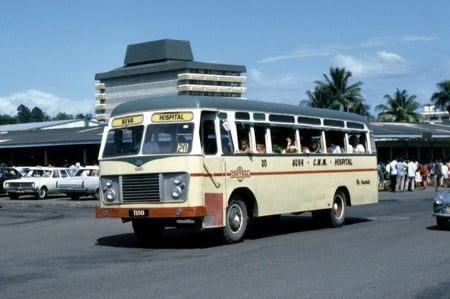 albion viking - street, albion, viking, fiji, bus