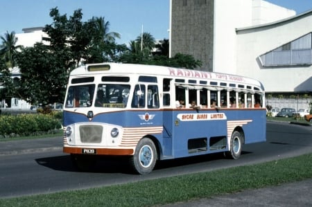 bedford - street, bus, bedford, fiji, grass