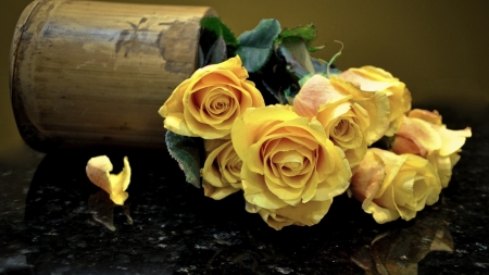 yellow roses - roses, beauty, flowers, photography, yellow, still life