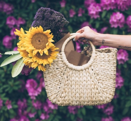 still life - flowers, still life, cool, photography