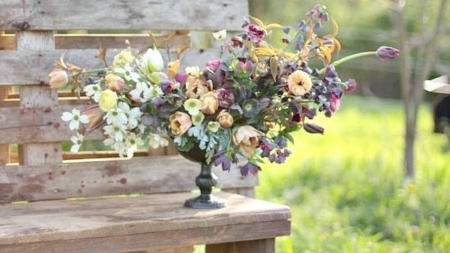 Flower pot - nature, bench, flowers, varse