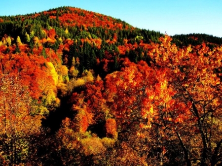 Autumn Mountains