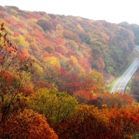 Mountain Road,North Carolina