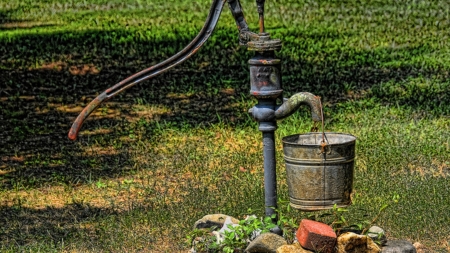 water the garden - water, field, farm, bucket