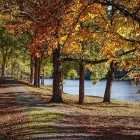 Autumn Path