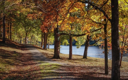 Autumn Path - lake, autumn, trees, america, path