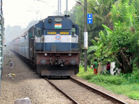 diesel train - train, diesel, locomotive, carriage, grass