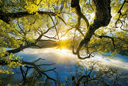 Autumn embrace - branches, rays, lake, autumn, glow, fall, reflection, beautiful, leaves, embrace, tree