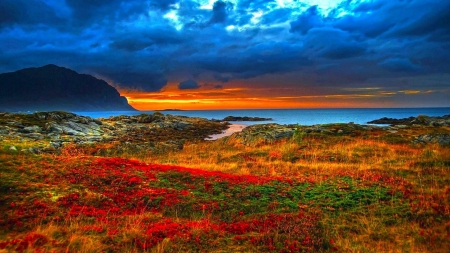 Storm - nature, dramatic, clouds, flowers, field, storm