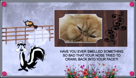 Le Pew - skunk, crow, cat, text