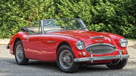 Austin Healey 3000 - Austin, car, 3000, Healey