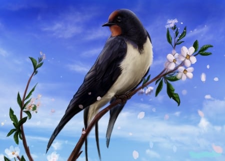 Swallow - randunica, bird, blue, blossom, spring, flower, fantasy, swallow, pasare, art, sky