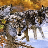 Wolves