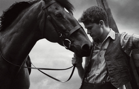 Man and horse - white, horse, cowboy, man, animal, bw, black