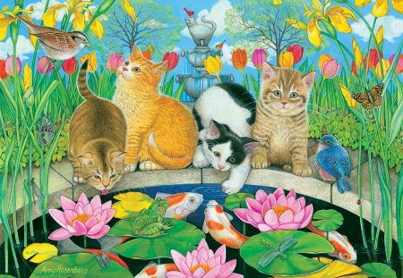 Kittens - summer, flower, pink, cat, art, lotus, pisica, pond, amy rosenberg, kitten, fish, luminos