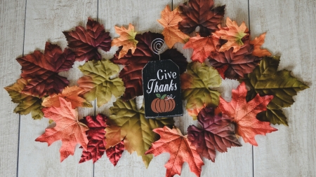 Give Thanks - word, autumn, thanks, red, card, orange, leaf, freen