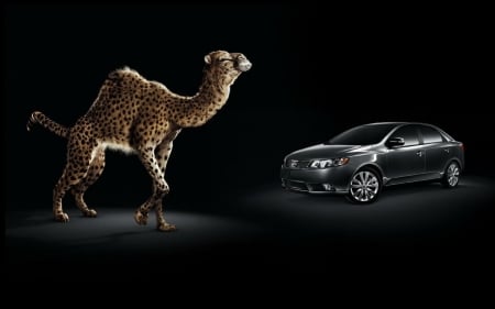 :D - camel, car, animal, funny, commercial, black, add