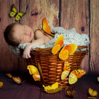 Baby in basket