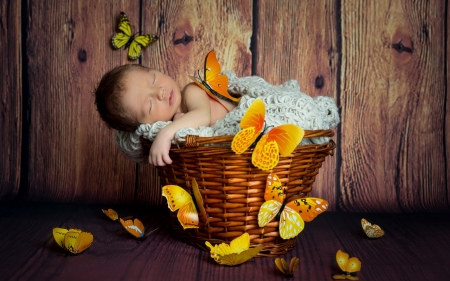 Baby in basket - basket, cute, photo, baby in