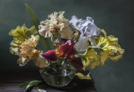 Still Life - flowers, vase, still life, beautiful