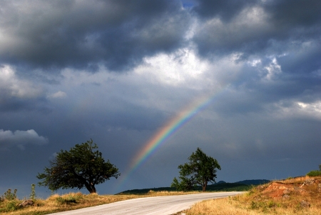 Rainbow - cloud, rainbow, nature, tree