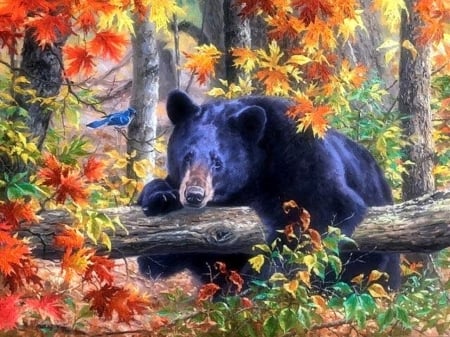 Hanging in Fall - attractions in dreams, autumn, forests, bear, animals, bird, nature, love four seasons, leaves, hanging, paintings, colors, fall season