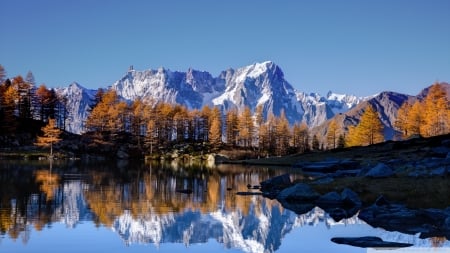 Autumn Mount Blanc,France