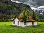 House in the field