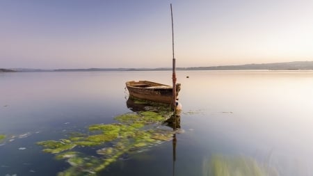 Boat - nature, sea, sail, boat