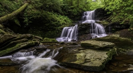 Waterfall - nature, tree, rocks, Waterfall