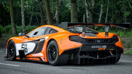 McLaren 650S GT3 - 650s, gt3, mclaren, car