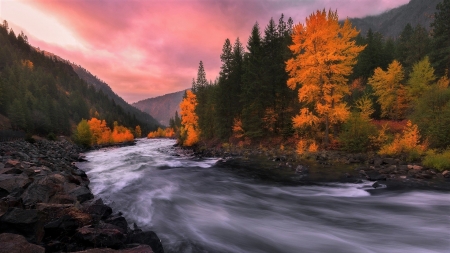 River in Autumn - in, nature, river, autumn