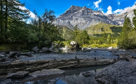 River - trees, nature, River, plants, mountain