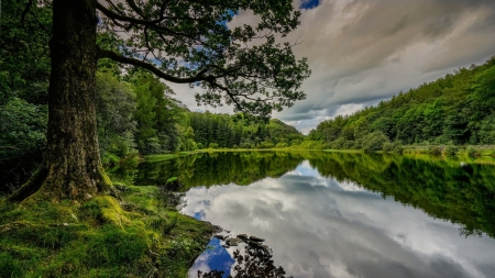 River - sky, tree, nature, river