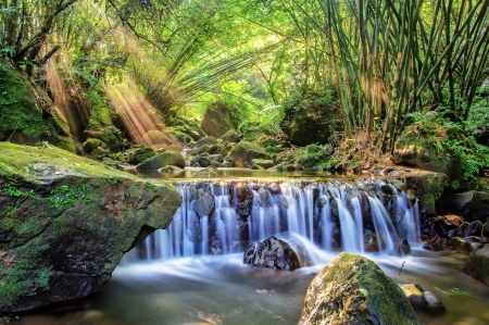 forest waterfall - fun, nature, cool, forest, river, waterfall