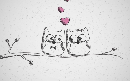 owls in love - entertainment, funny, cool, owls