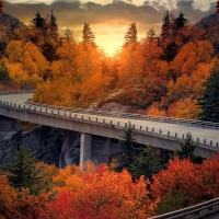 Winding Road through Colorful Fall Forest