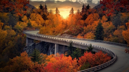 Winding Road through Colorful Fall Forest