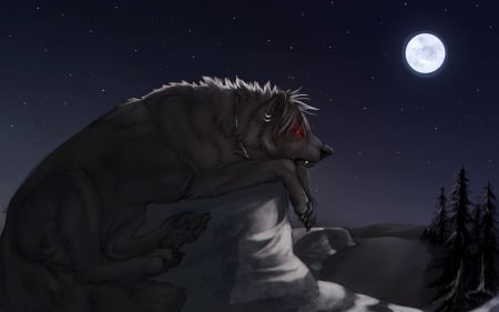 wolf under the moon - moon, fun, animal, wolf, dog, cool