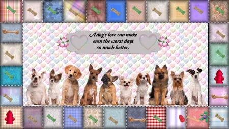 A Dog's Love - quilt, hydrant, dogs, biscuits, toys