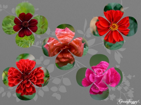 FLOWER COLLAGE - image, art, abstract, flowers