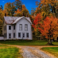 House and Autumn Trees