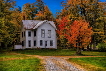 House and Autumn Trees - Trees, Autumn, and, House