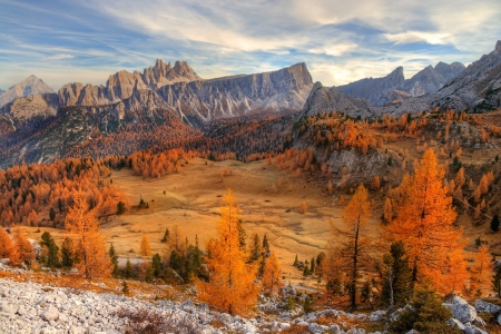 Landscape - landscape, sand, nature, tree