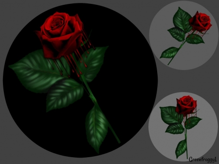 BLEEDING ROSES