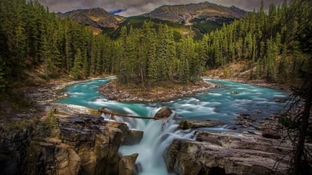 Sunwapta Falls in Jasper National Park Canada - nature, tree, waterfall, rocks